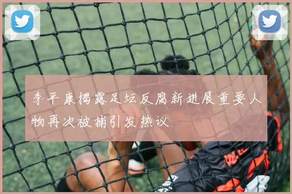 李平康揭露足坛反腐新进展重要人物再次被捕引发热议