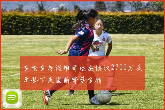 多伦多与诺维奇达成协议2700万美元签下美国前锋萨金特