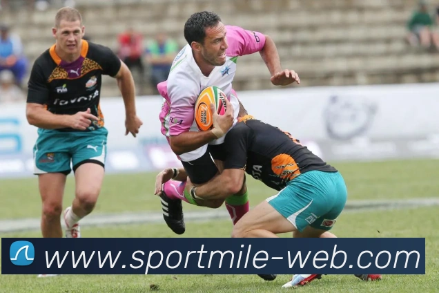 米乐体育APP 封面图